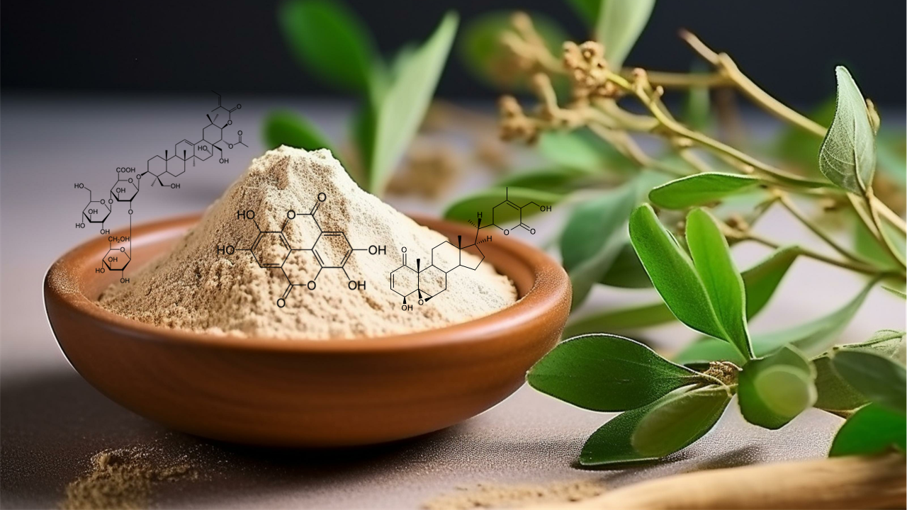 le match des extraits d’ashwagandha titrés en withanolides